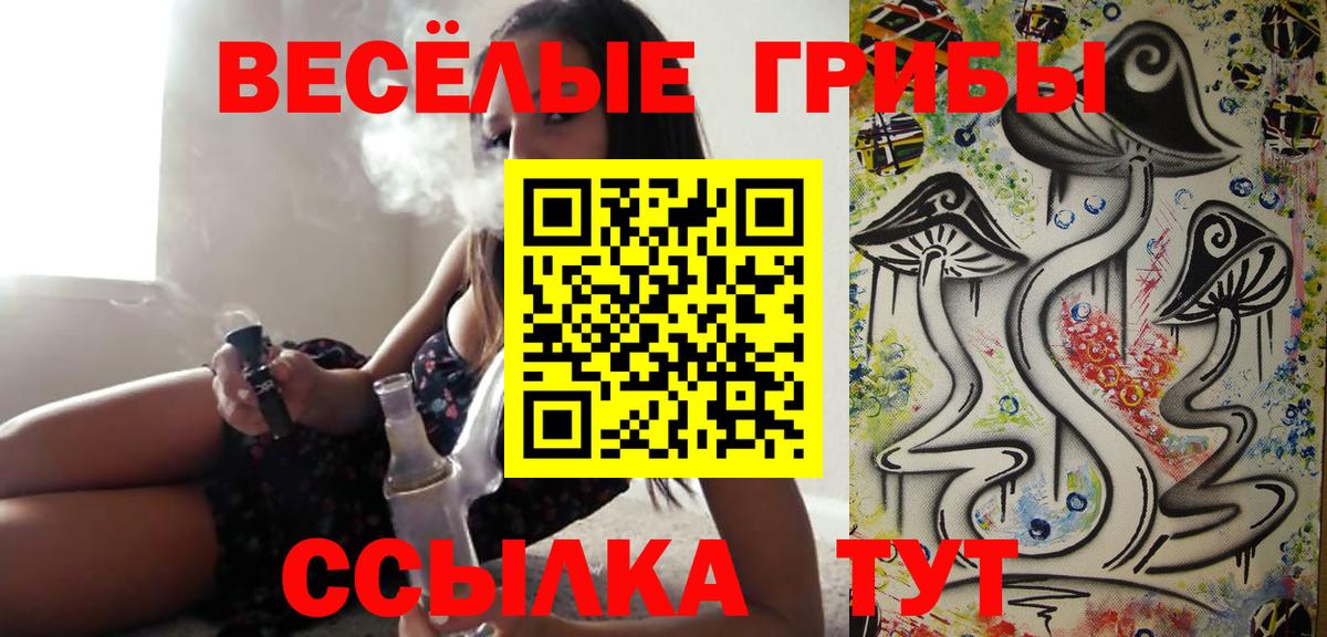 Лесной  Галлюциногенные грибы MAGIC MUSHROOMS  Галлюциногенные грибы Psilocybe  цена   Вход с VPN 